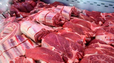 Revés para Nación: la Justicia federal frenó el ingreso de carne con hueso a Tierra del Fuego