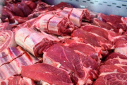 Revés para Nación: la Justicia federal frenó el ingreso de carne con hueso a Tierra del Fuego