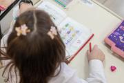 Ciclo Escolar 2026 Nivel Inicial y Primaria