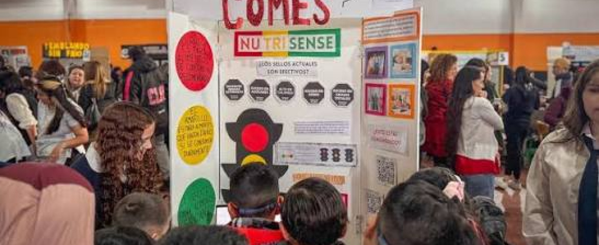 18 proyectos fueguinos llegan a la instancia nacional de la Feria de Ciencias