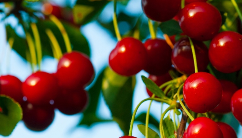 Las dos frutas para la cena que mejoran el sueño