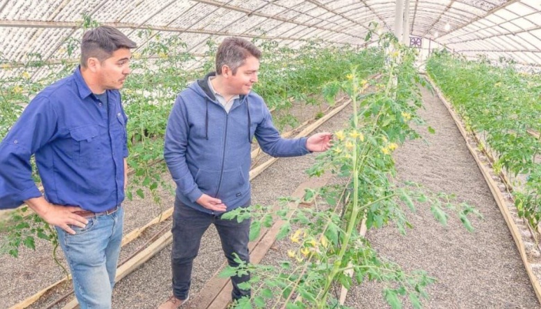 Expectativas por los tomates de RGA Alimentos