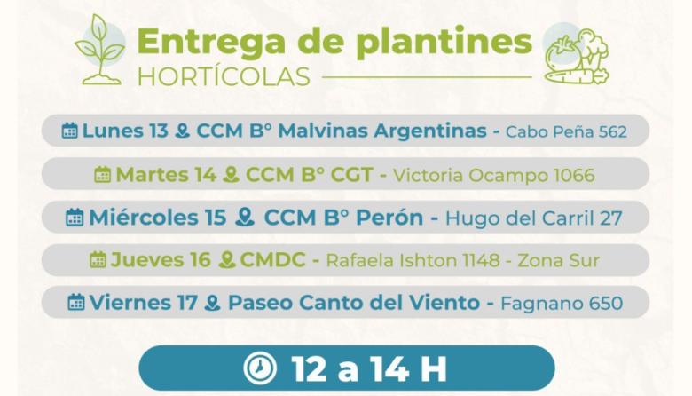 Entrega de Plantines de Verduras