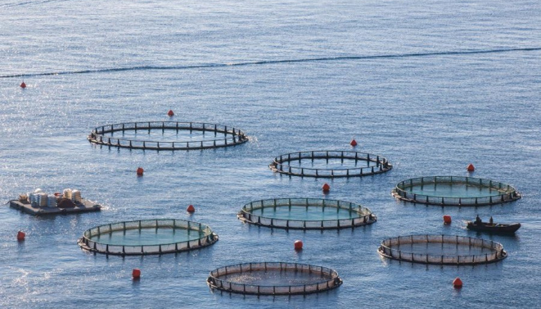 Se aprobó ley que habilita la acuicultura en la provincia