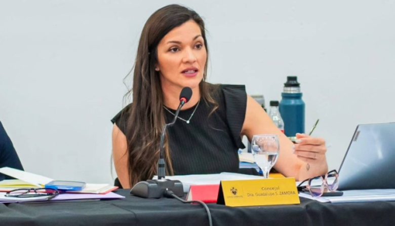 "Quitar subsidios al gas es desconocer cómo se vive en el sur", advirtió Zamora