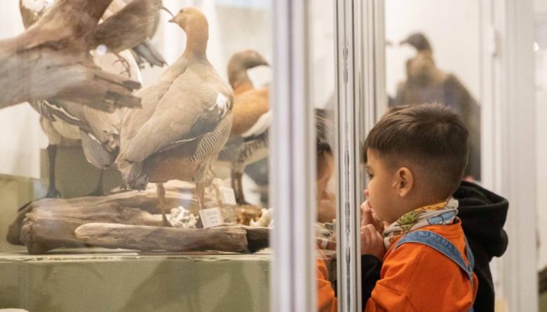 Museo del Fin del Mundo: Inscripciones abiertas