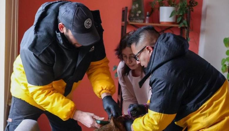 El municipio fortalece el trabajo territorial de servicios veterinarios en los barrios