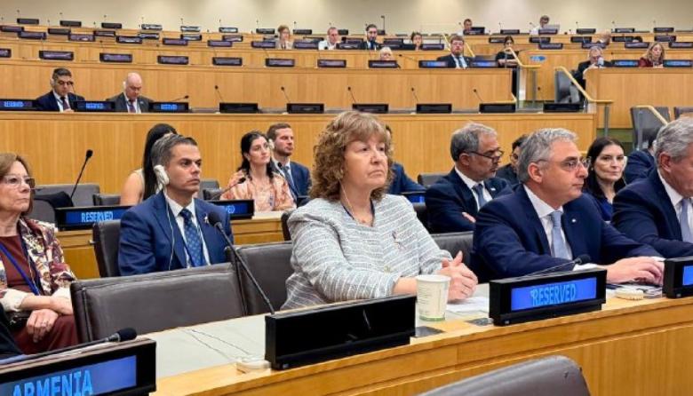 El Comité de Descolonización de Naciones Unidas reiteró el llamado a negociaciones para solucionar la cuestión de las Islas Malvinas