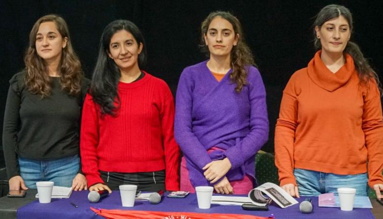 “Gestar, parir y nacer en Tierra del Fuego"