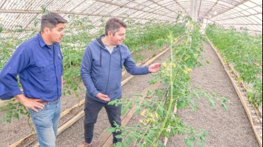 Expectativas por los tomates de RGA Alimentos