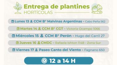 Entrega de Plantines de Verduras