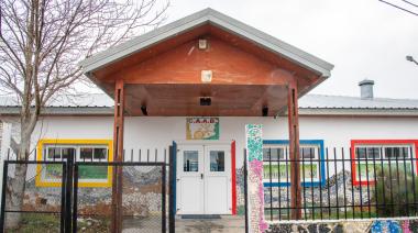 Cocecha de lechuga y acelga fresca