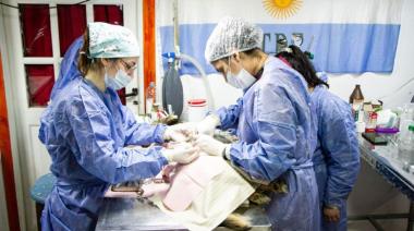 Servicio Veterinario de Castración