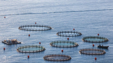 Se aprobó ley que habilita la acuicultura en la provincia