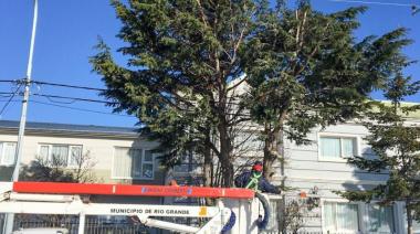 Servicio de poda para los vecinos