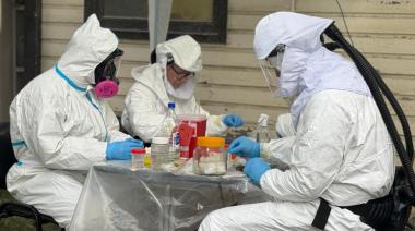 Salud confirmó que la variante de Hantavirus vinculada al Crucero MV Hondius no circula en Ushuaia