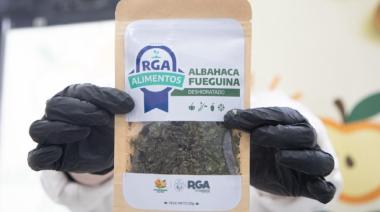 Línea de productos deshidratados “Condimentos Fueguinos”