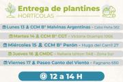 Entrega de Plantines de Verduras