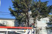 Servicio de poda para los vecinos