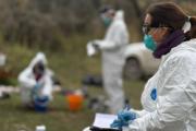 La provincia y el Malbrán concluyeron el operativo de vigilancia por Hantavirus en Ushuaia