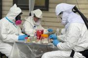 Salud confirmó que la variante de Hantavirus vinculada al Crucero MV Hondius no circula en Ushuaia