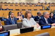 El Comité de Descolonización de Naciones Unidas reiteró el llamado a negociaciones para solucionar la cuestión de las Islas Malvinas
