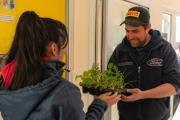Más de 3.000 vecinos recibieron plantines
